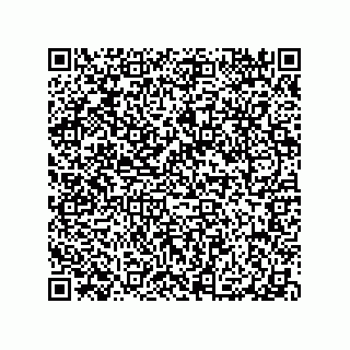 vCard 79100570002