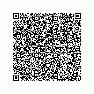 vCard 79100570013