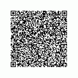 vCard 79100570020