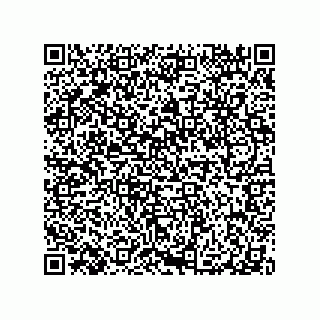 vCard 79100570028