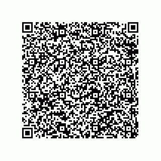 vCard 79100570029