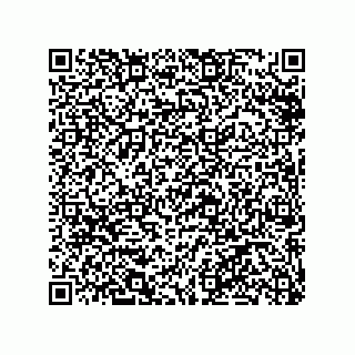 vCard 79100570035