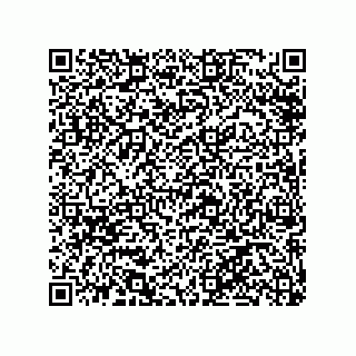 vCard 79100570041