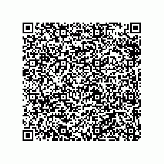 vCard 79100570053