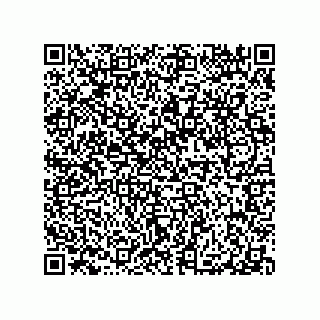 vCard 79100570080