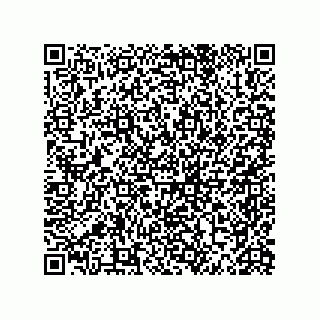 vCard 79100570133