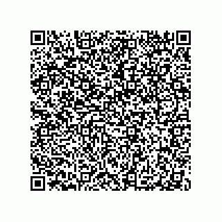 vCard 79100570176