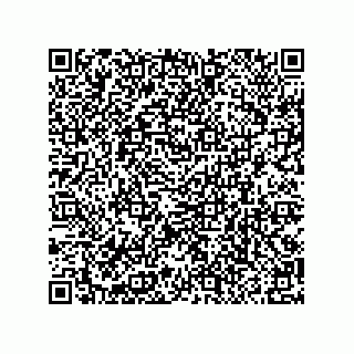 vCard 79100570217
