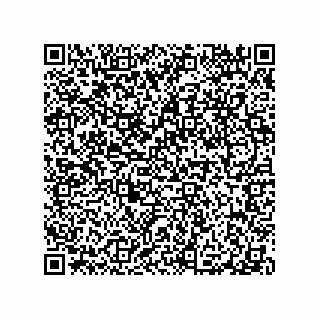 vCard 79100570317