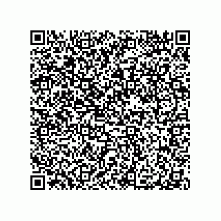vCard 79100570387