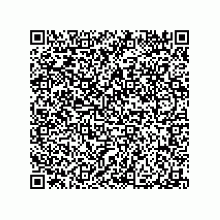 vCard 79100570389