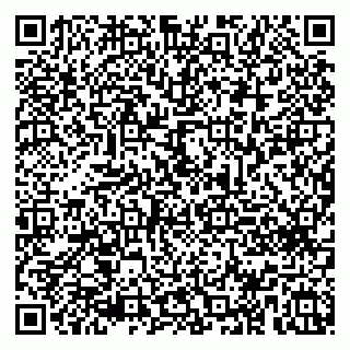 vCard 79100630039