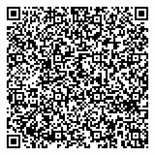vCard 79100630173