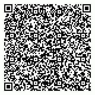vCard 79100780139