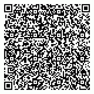 vCard 79100780173