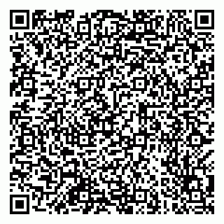 vCard 79100780620