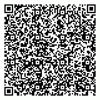 vCard 79100782939