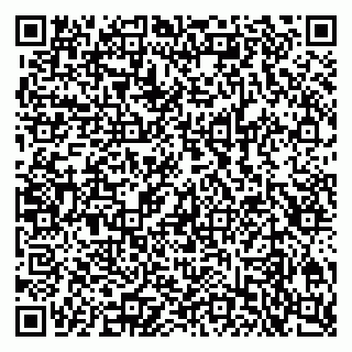 vCard 79100783039