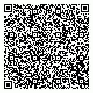 vCard 79100783332