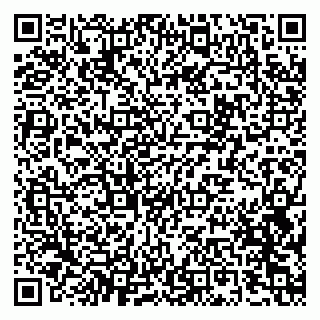 vCard 79100783339
