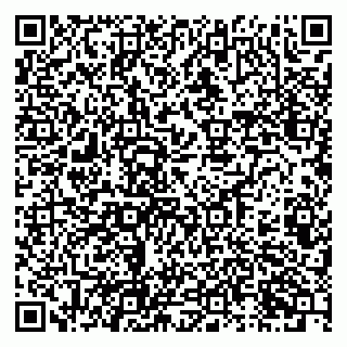 vCard 79100783439