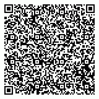 vCard 79100783539