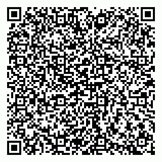 vCard 79100784039