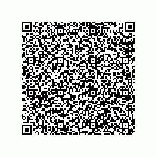 vCard 79101000331
