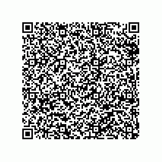 vCard 79101000413