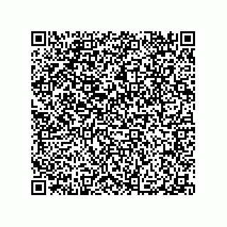 vCard 79101000539