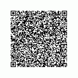 vCard 79101000739