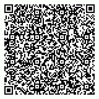 vCard 79101700100