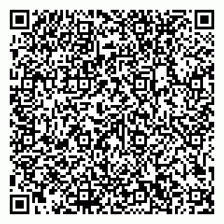 vCard 79101700103