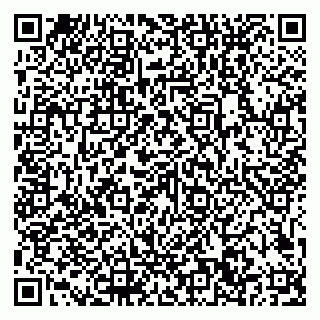 vCard 79101700251