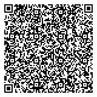 vCard 79101700265