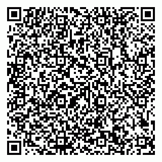 vCard 79101700294