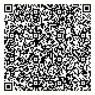 vCard 79101700307