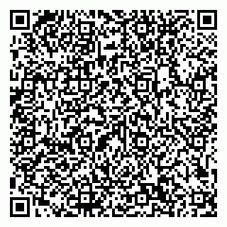 vCard 79101700316