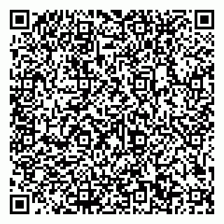 vCard 79101700319