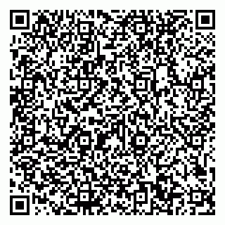 vCard 79101700329