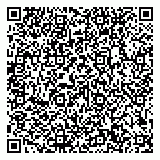 vCard 79101700332
