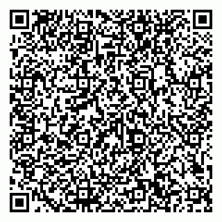 vCard 79101700351