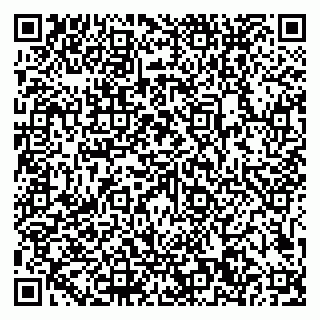 vCard 79101700372