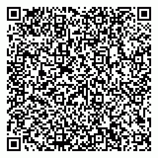 vCard 79101700385