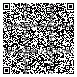vCard 79102400070