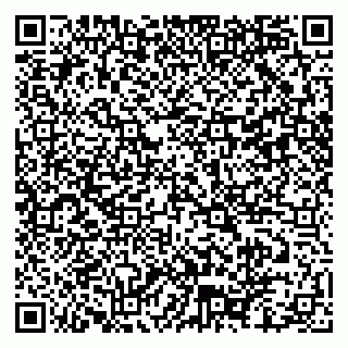 vCard 79102400101