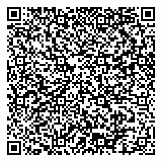vCard 79102400111