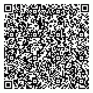 vCard 79102400131