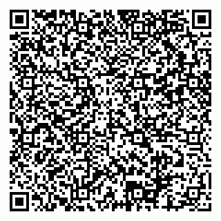 vCard 79102400132