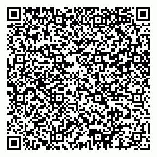 vCard 79102400199
